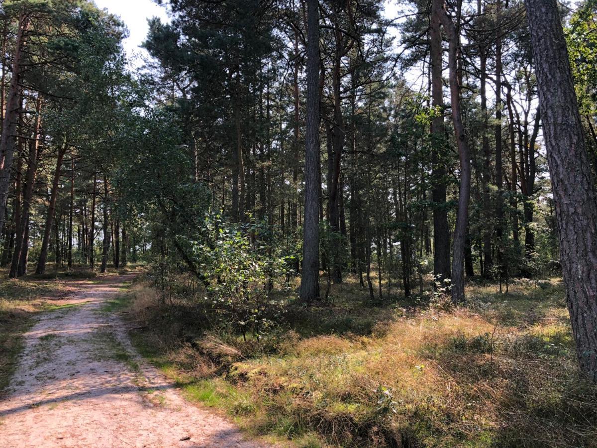 Domek Pod Lasem Погожелица Экстерьер фото